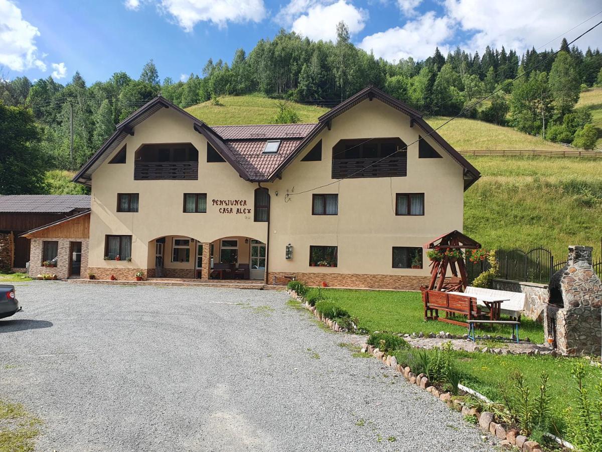 Pensiune Agroturistica Casa Alex Baba Екстер'єр фото